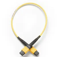 Fluke Networks TRC-SM-MPOAPC-PP-Aшнур 1 m SM TRC MPOAPC/MPOAPC Pinned/Pinned полярность типа A